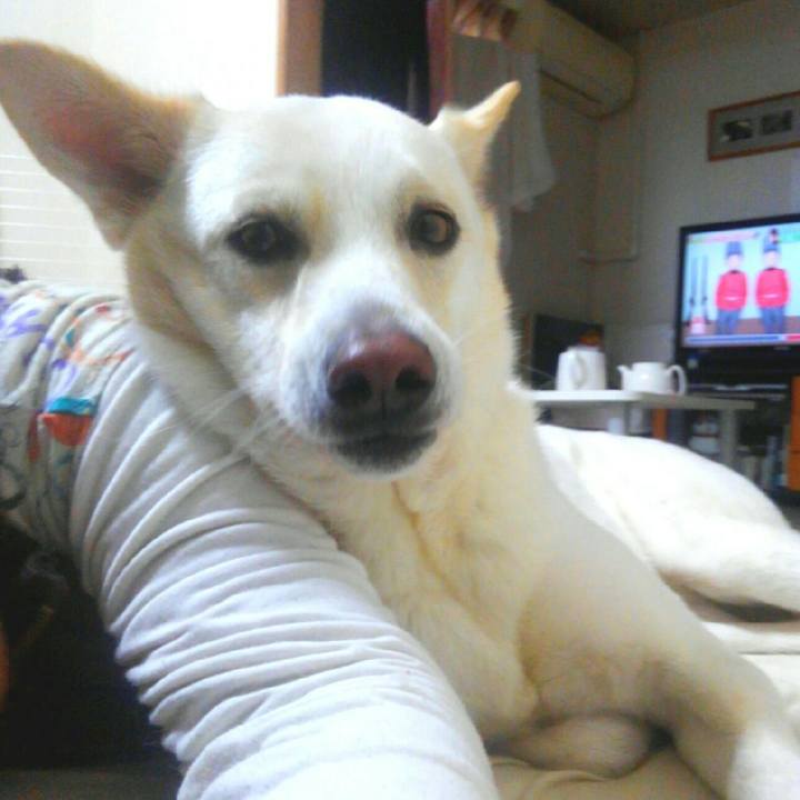 7d697b9a 5a39 4d72 8f7f 04ef7347e2fd