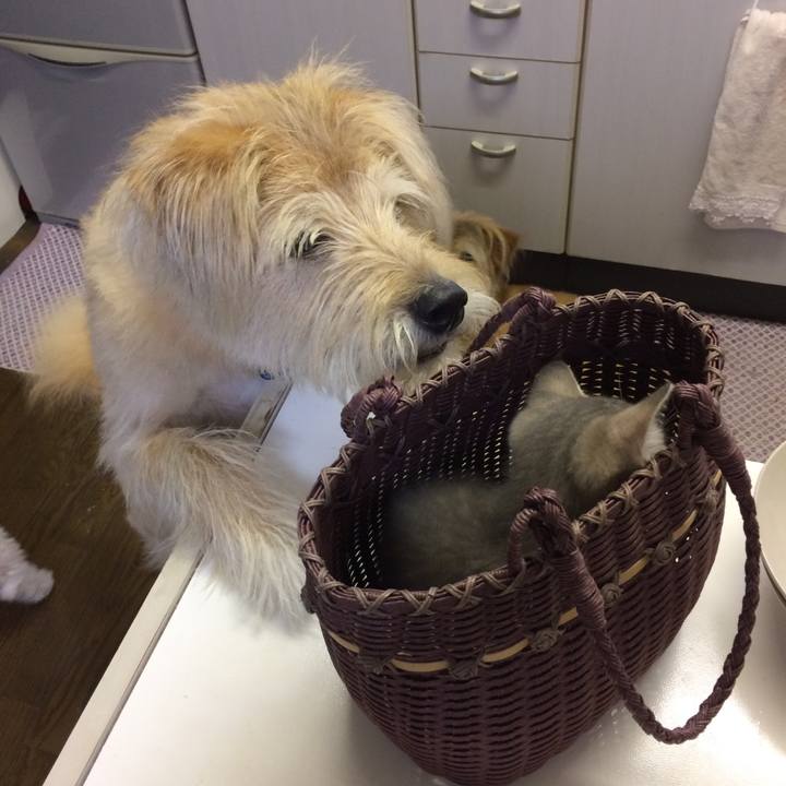 7d69955f b8f4 4f47 a5cf 57f9be6db0c5