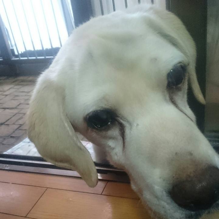 7d6a7521 4a5a 4d43 aeec f8c3f8eac489