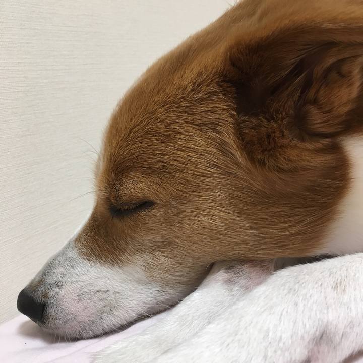 7d6b5be8 91dd 47f6 af49 884b99d48882