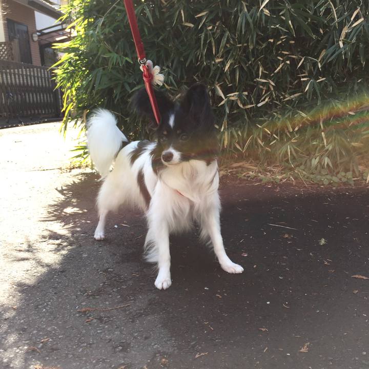 7d6b94d0 03ce 4e07 8c60 b83ab318bfd7