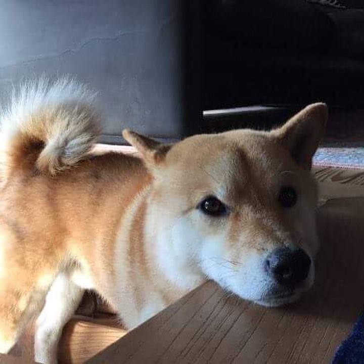 7d6bdebf cef1 401c ba85 770732a083be