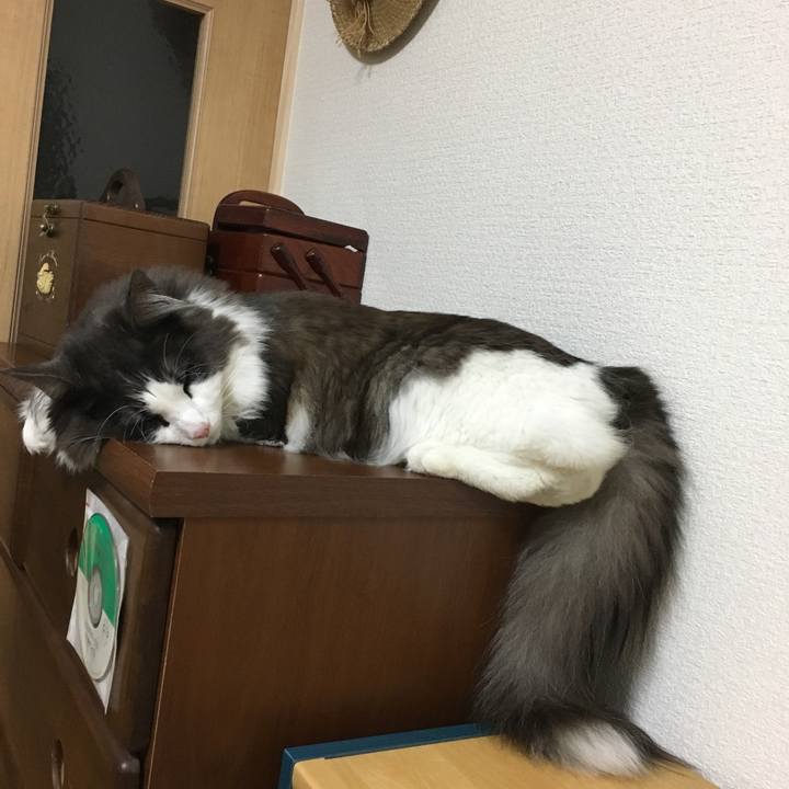 7d6be02a c0e3 4a02 8f71 fab939cefa88