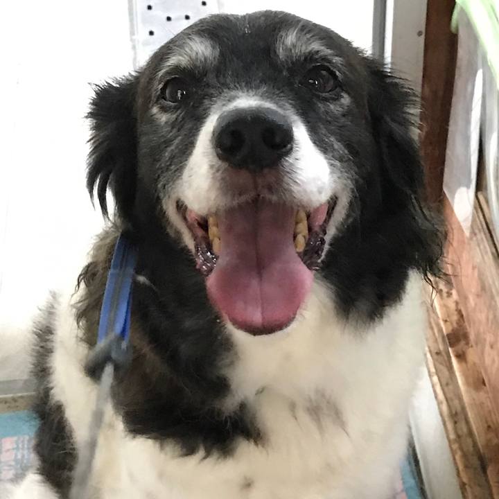 7d6cbd7f c2dc 40f9 90af 8e77698228f0