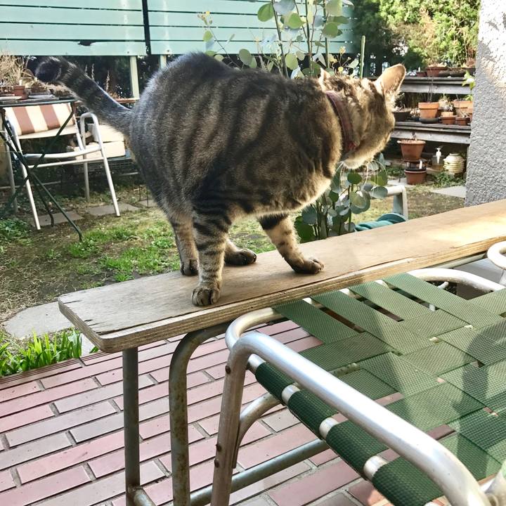 7d6d223a 6dd7 497e a79a d25c10260279