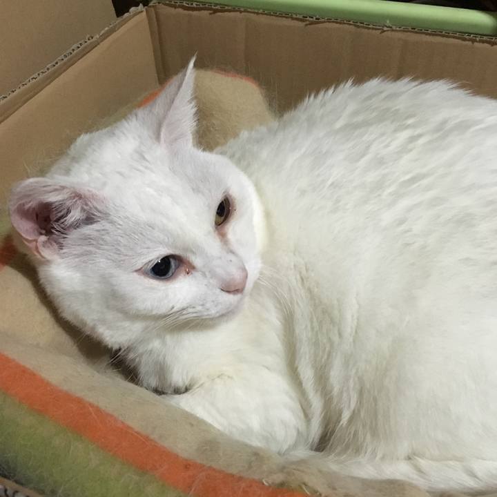 7d6d7fce ceca 46bd 94da 87cf33bc0d53