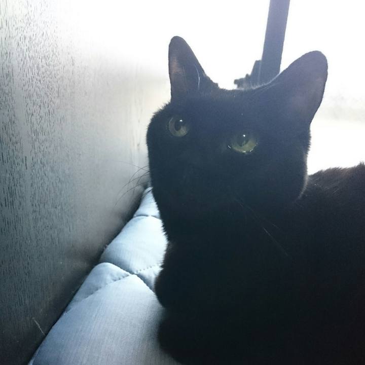 7d6dbd2a 3cfb 4ab2 b47c 13368464c5e1