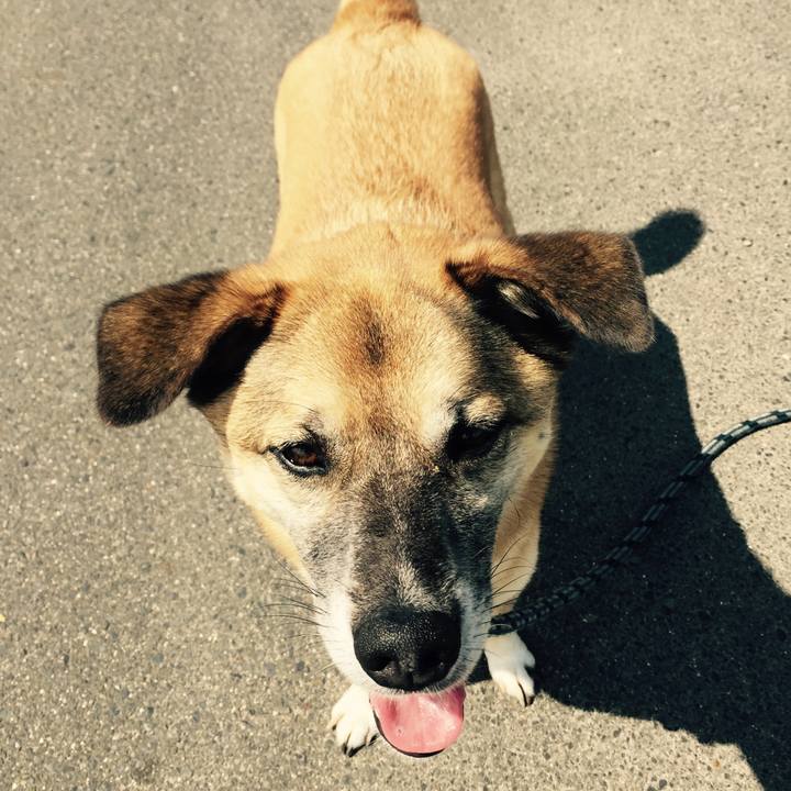 7d6de574 9775 4382 ae52 5d5d931a718f