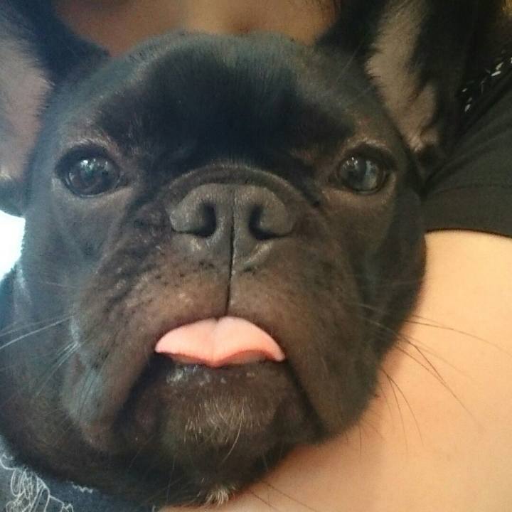 7d6e1fa9 b393 4557 ac45 7b7703f1c8b7