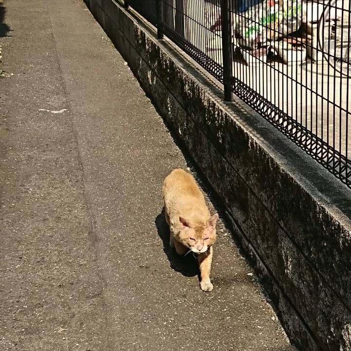 7d6e8a3f 8449 42a7 98ab 516a70c11445