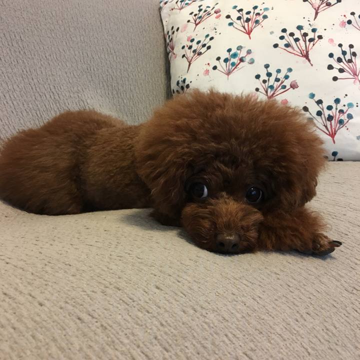 7d6ee9d7 253d 425e b8a8 9716fb648858