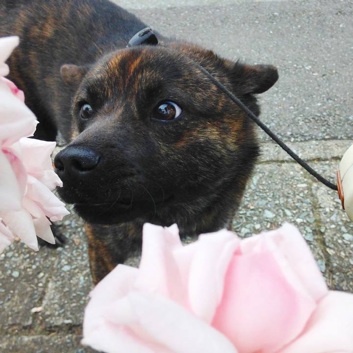 7d6f47d5 3b1c 4a86 a5b0 a57e3883353d