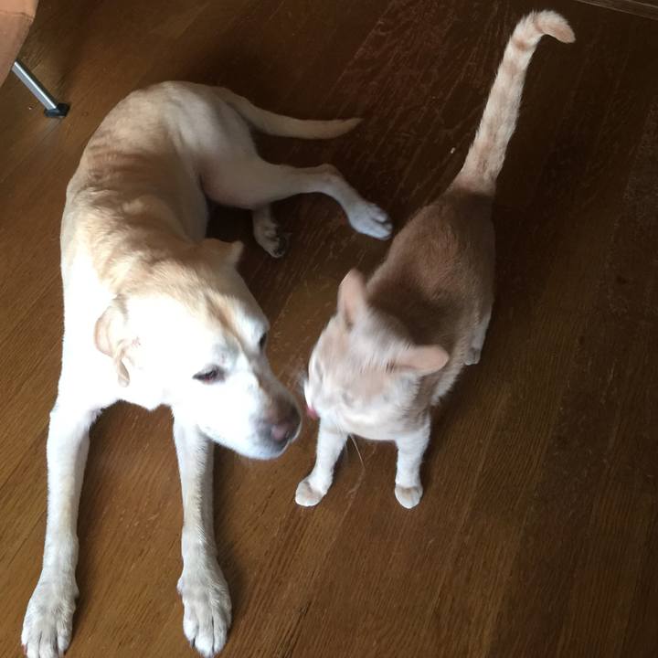 7d6f6cc7 0b25 4408 b831 d3fe9b53fe45