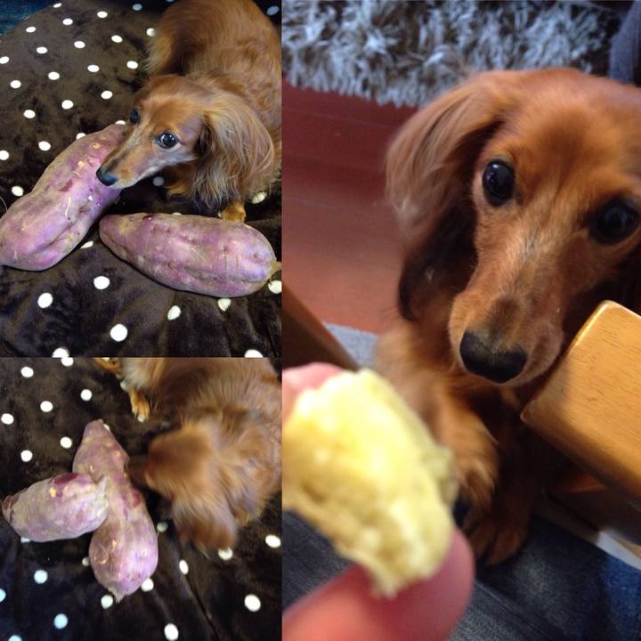 7d6fa247 d239 4f27 9d59 3b409aaf38ab