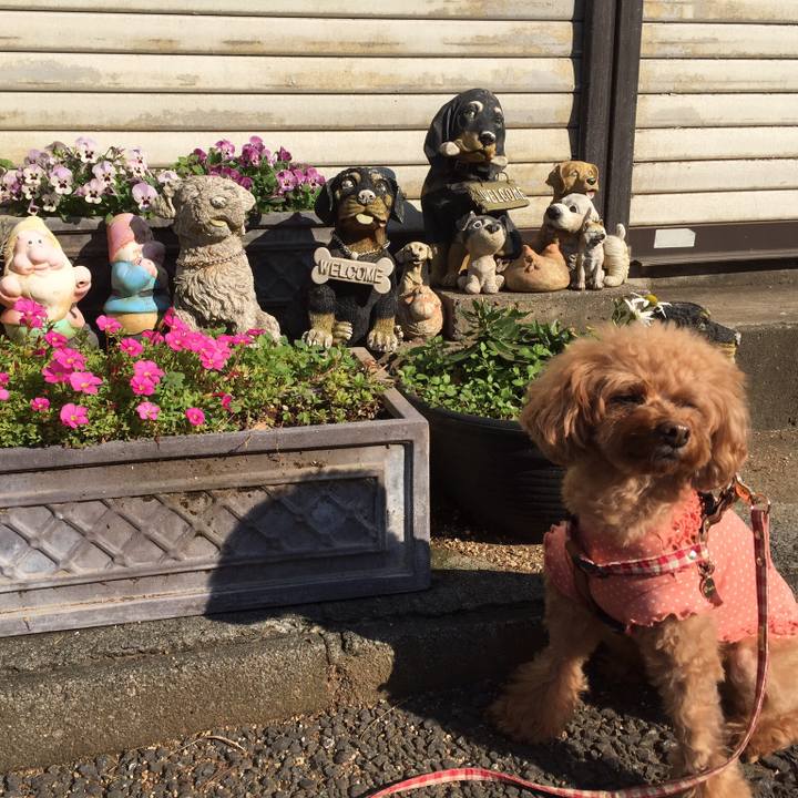 7d7000c8 14b7 4ffb b8e4 79b074923d5c