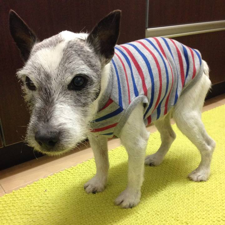 7d704239 d5e3 4b48 878c f2da4c9e19dc