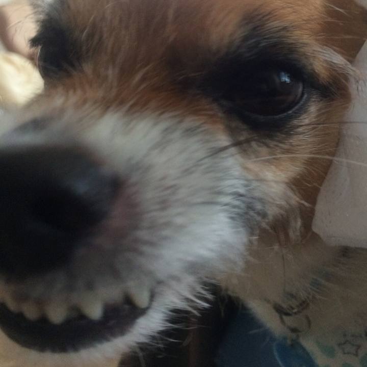 7d718fff 5fcc 45c3 8778 04a1a331a5c6