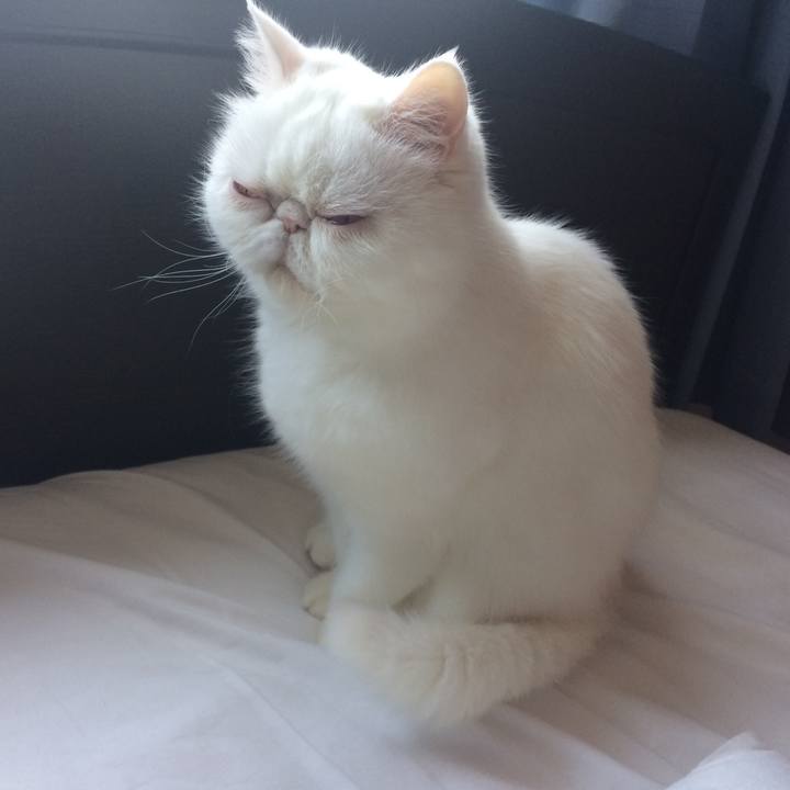 7d71d3be 9eb3 44cf bc77 fe719b33a786