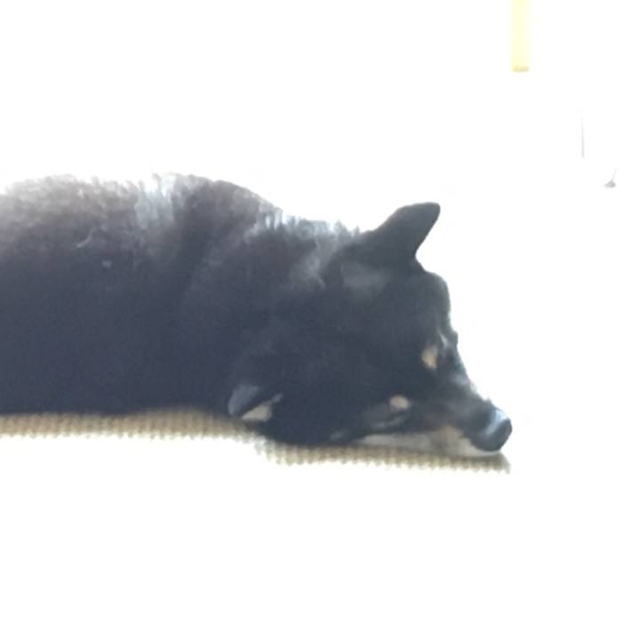 7d71e276 969c 42b2 8158 5d192a6425c9