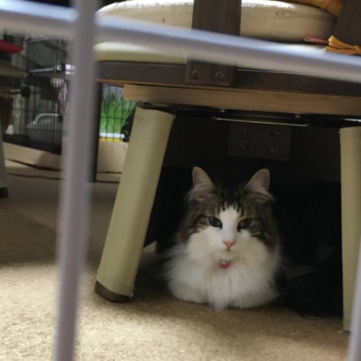 7d720cb2 0f5a 4297 9da5 dec26b2990de