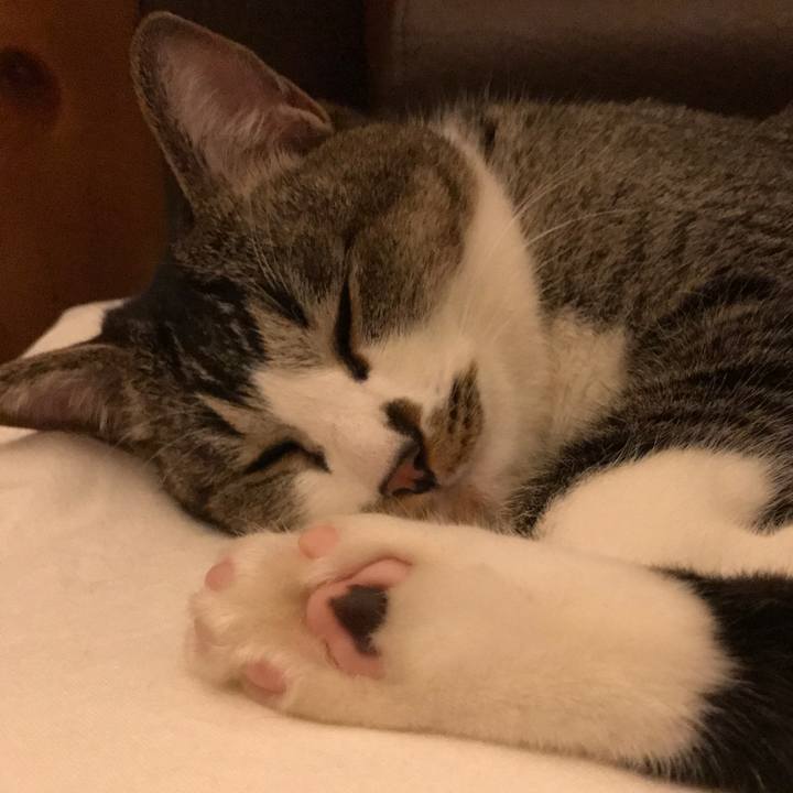 7d720dec 3c90 436e 8117 4d95359fb183