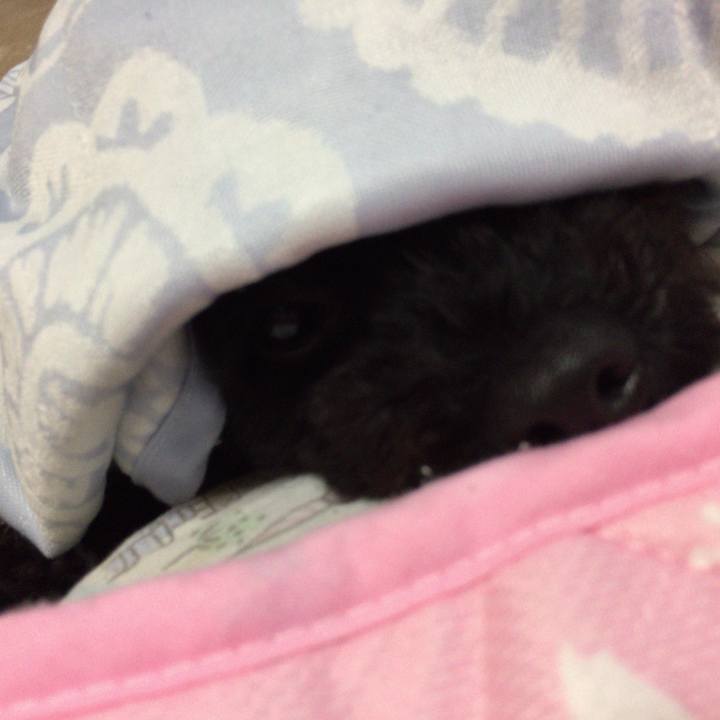 7d72197d 5259 4575 b33b 845dfd904a93