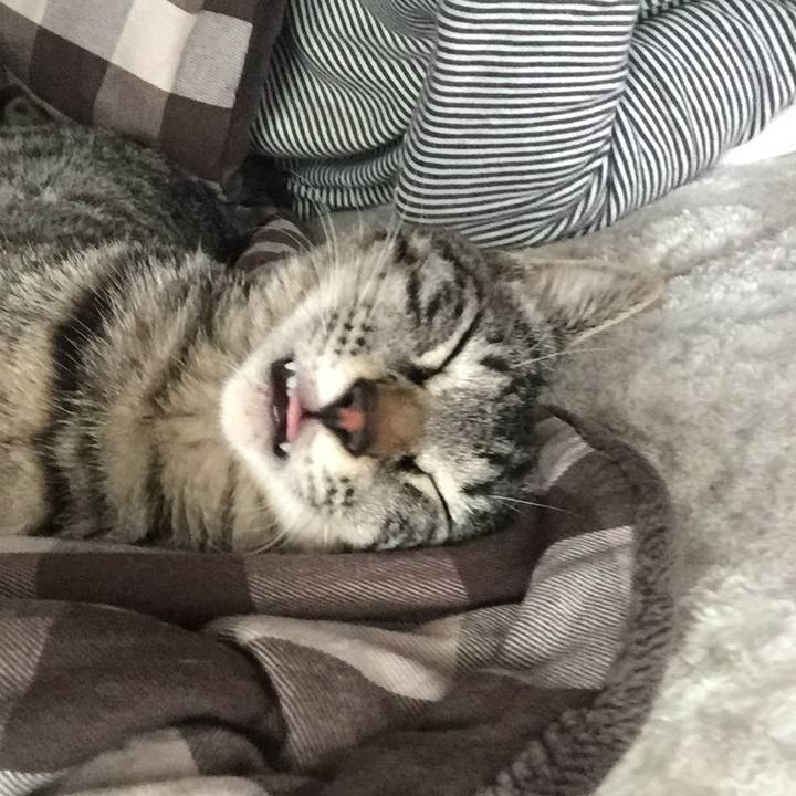 7d722f81 e994 4627 9378 c3473a50f580