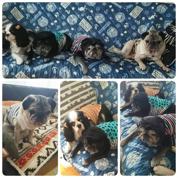 7d724f19 a6cd 4cf2 af28 3c7362b66b88