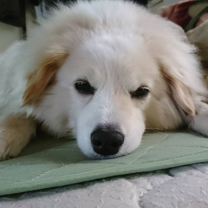 7d72ca95 73e9 4b03 b070 9c95e037be72