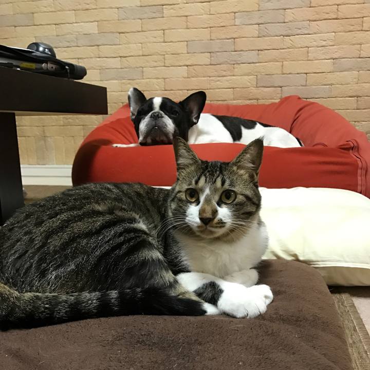 7d733678 60e6 40ae 9baa 494abcf5b384