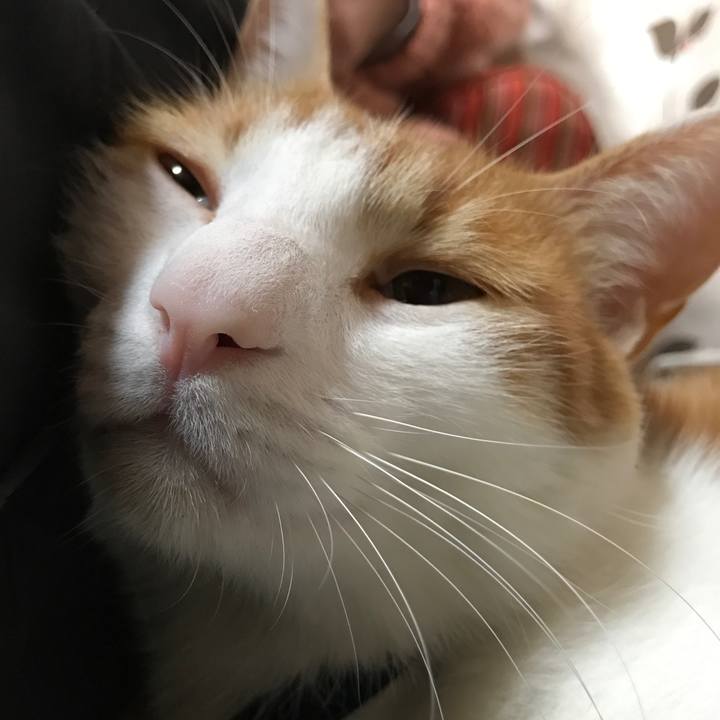 7d7534c3 ed67 4115 86fc e3de42c30780