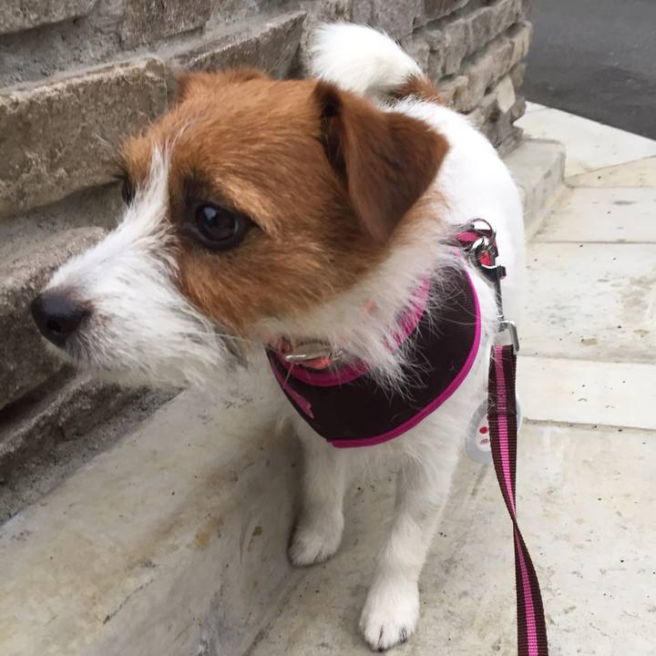 7d75703e fbe2 4e12 be72 9228a768a701