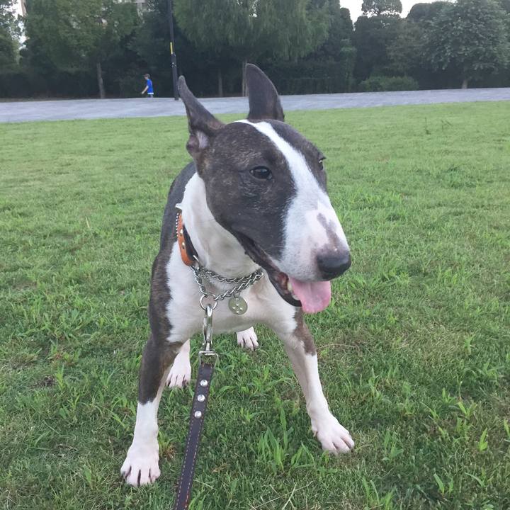 7d758d0c bbbc 41a8 b1e9 10de460cd012