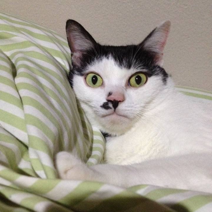 7d75b1d4 6681 4c28 808f e6277a1b22e2