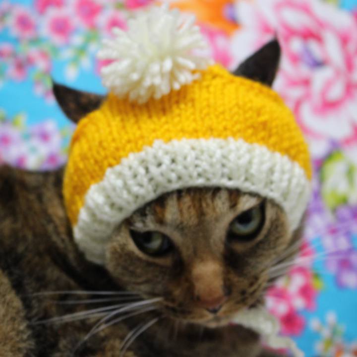 7d763c87 66b0 4447 89c0 a68d649fc576