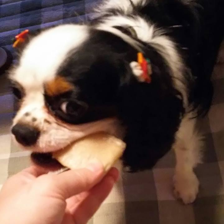 7d76cff8 30b9 4fbb 9a93 97a70dc1715b