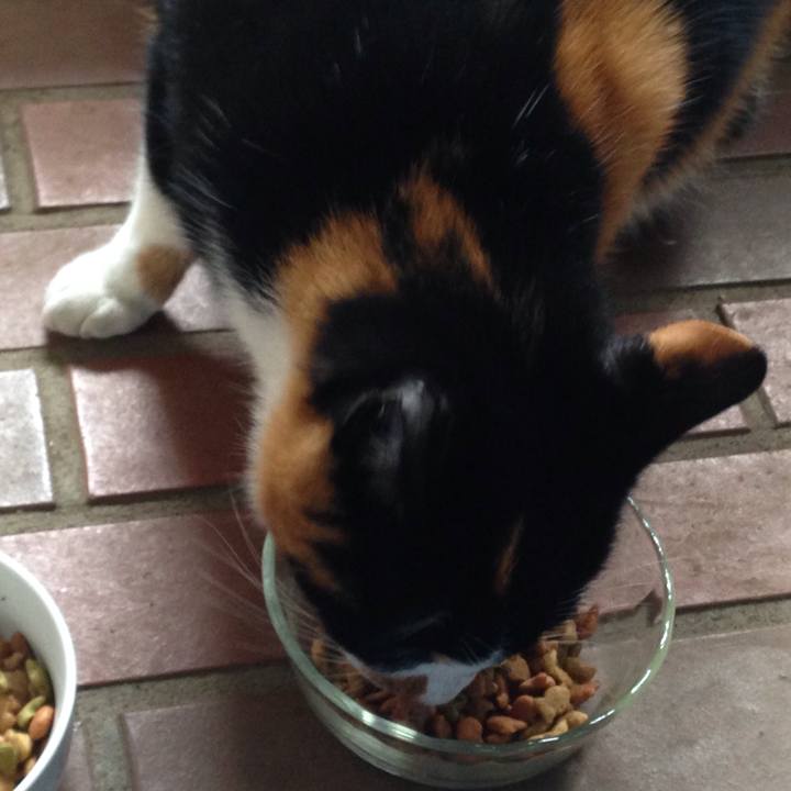 7d76f58e ce25 42df b957 4b34804a8e65