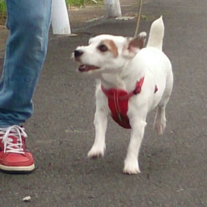 7d76f876 55ff 47ad 9417 78ee71be9e7e