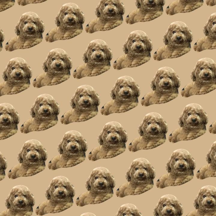 7d772cc4 36bc 4f80 9d4f 2d627dc306c5