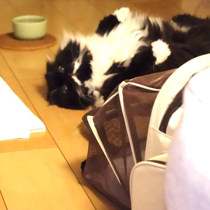 7d773183 e8b0 45d0 8134 68814e009bd5