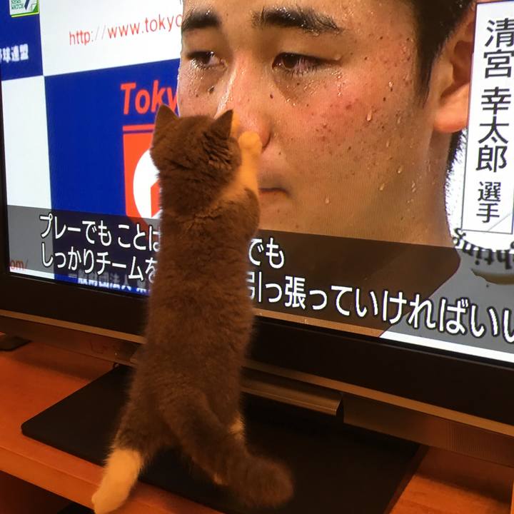 7d773fd3 0bc9 49c0 8fa3 c13659edc607