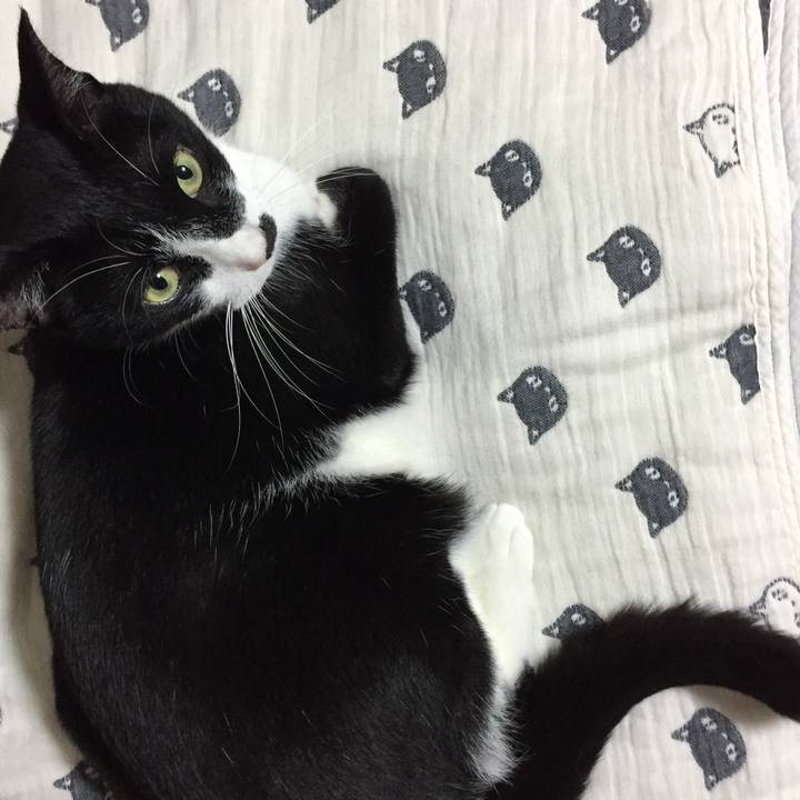 7d77475c 9b1a 4b07 9f79 4e571059626b