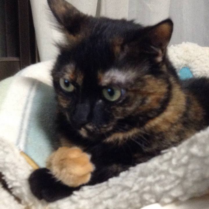 7d77919b 0833 4894 9d61 c38c74a3dbe8