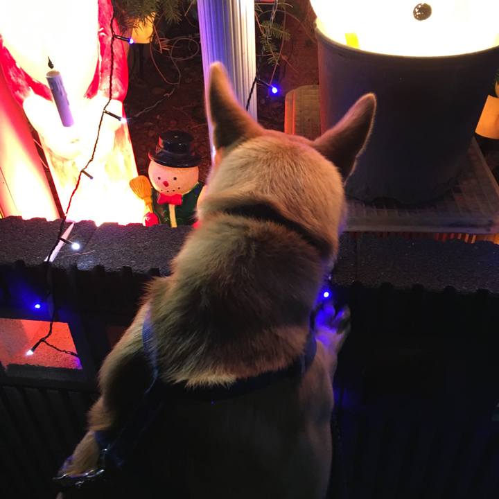 7d79204c 2e7f 421f aa84 0cf2d24086a5