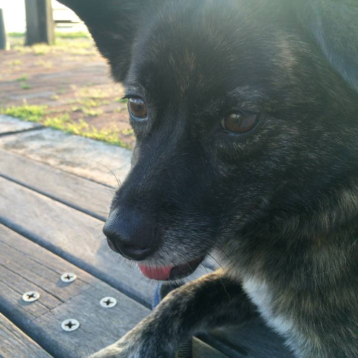 7d798738 6a02 436c 8137 0a6ccb9f35a7