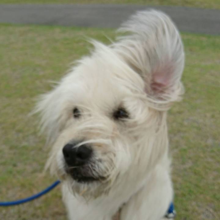 7d79a57e eaee 4c8f 84ef 7e033aedb6b6