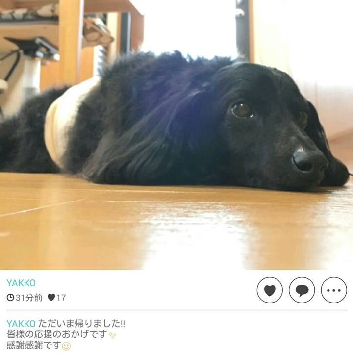 7d7a1707 623f 402c acec 7c943136de95