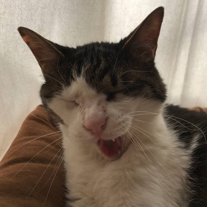 7d7a4069 dd92 4adb a228 90857a8c8057