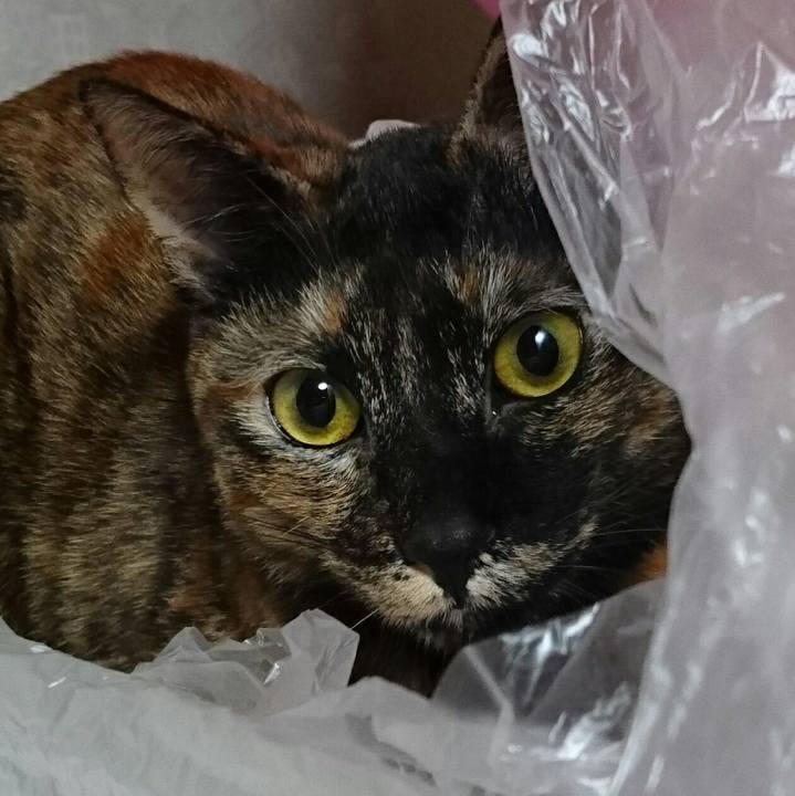 7d7a626c e73d 48f1 b2fa d763cff1a102