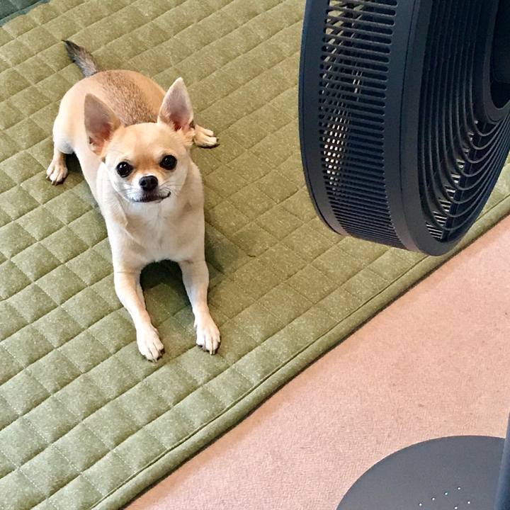 7d7af10b fef4 4d30 940c 063ae486134b